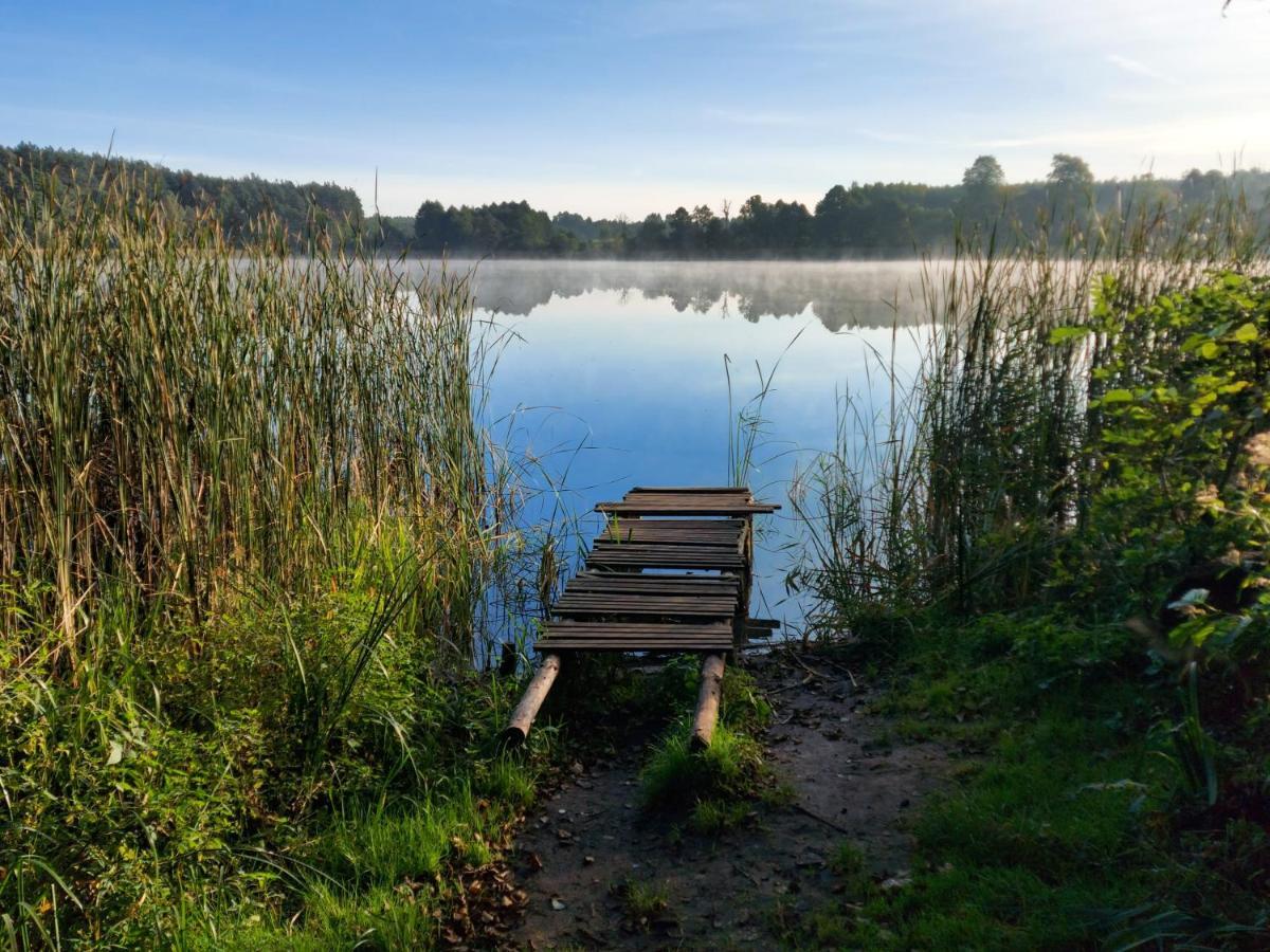Dom Przy Lesie Villa Wielgie Bagian luar foto
