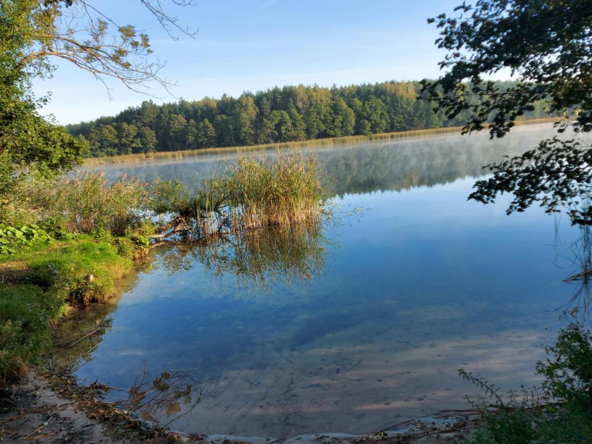 Dom Przy Lesie Villa Wielgie Bagian luar foto